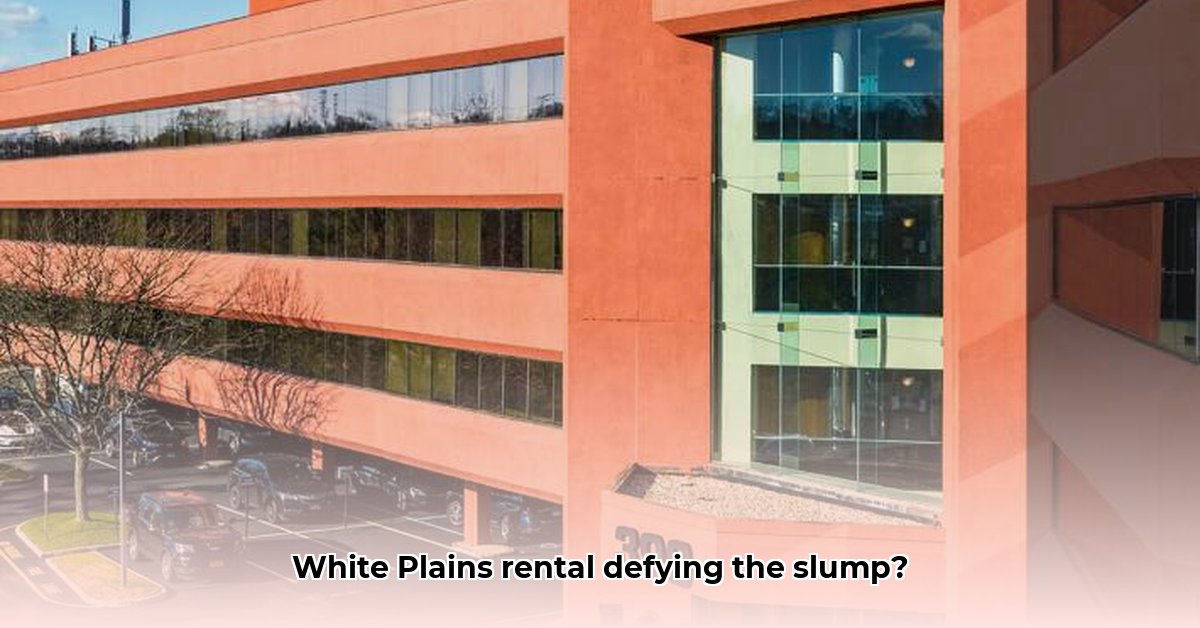 399-knollwood-road-white-plains-new-york